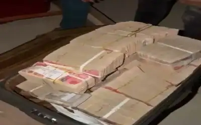لقاء يجمع وزيري الداخلية والمالية وقادة