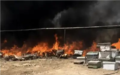 تجربة عمرها 90 عاما.. هل نجحت