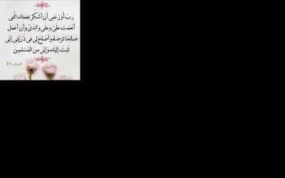 شاب يؤسس دولة خاصة ويطلق سفاراته