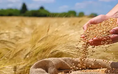 مهددات أمنية عبر جوار الأردن ـ