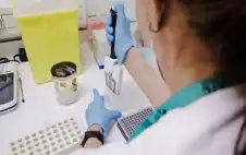 صحة ـ مكون شائع في أنظمتنا الغذائية يحفز