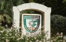 كلية الذكاء الاصطناstrongعيstrong في البلقاء التطبيقية