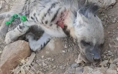 لأول مرة.. العراق يحقق فائضا في