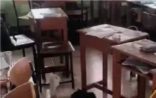 قاصر يقتل جديه وستة أشخاص بينهم