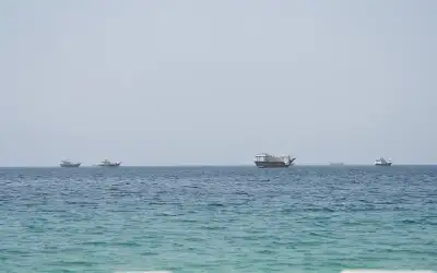 جمارك الكويت: إحباط تهريب 4255 حبة