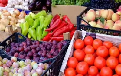 تركيا تبدأ إجراءات سحب الجنسية من