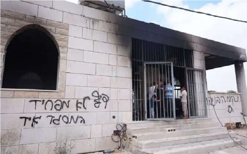 الضفة.. مستوطنون إسرائيليون يتلفون ممتلكات فلسطينية
