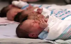 الأعداد السنوية للمواليد في strongالأردنstrong تتفوق