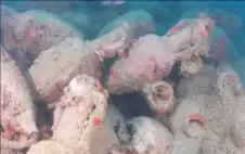 منوعات ـ البحر ينكشف عن كنز روماني غارق