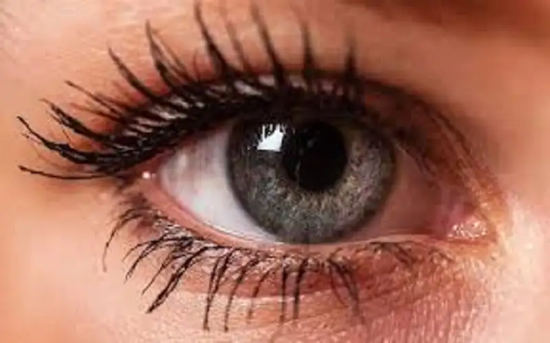 حدة البصر لا تعني بالضرورة سلامة