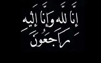 اللاءات الناهية ـ بقلم: كامل نصيرات