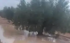 بعد موجة حر قياسية .. سيول