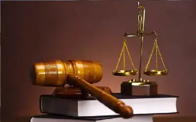 المصري: تعديل حدود البلديات وضمها يتطلب