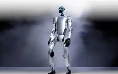 لا تسألو عن أجساد أصحاب هذه