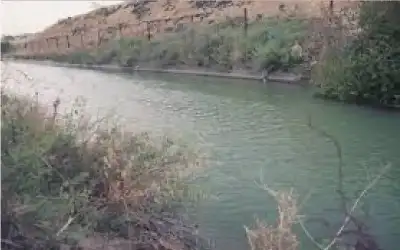آبل تطلق تحديثا عاجلا لإصلاح 29