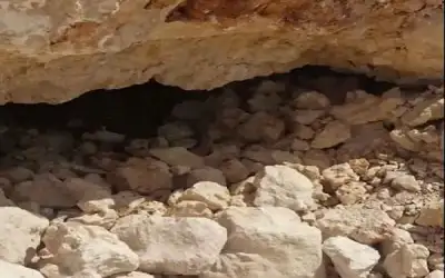 مندوبا عن الملك وولي العهد ..