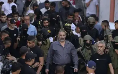 لجنة نيابية تناقش مكافحة الجراد