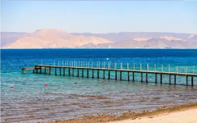 مجتمع ـ استمرار تأثير الكتلة الحارة على المملكة