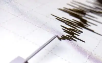 إيرادات أفلام العيد في مصر