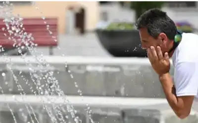 لماذا يعتبر النوم بعد الغداء عادة