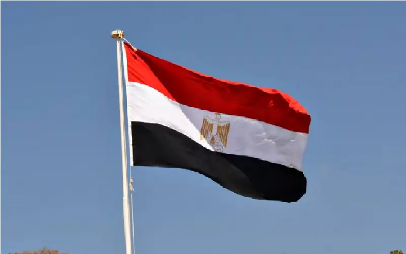 اختفاء مصارع مصري وأنباء عن هروبه