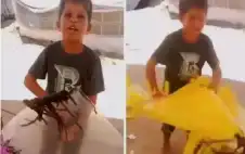 الطفل الذي مزق طائرته قبل أن