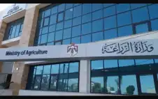 الزراعة: إيقاف استلام وتوريد الحبوب في