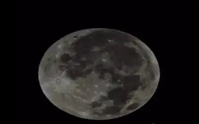 الملك: الإسراع بإنشاء المحمية البحرية وتعزيز