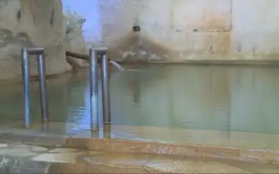 الكواليت: 45% من احتياجات اللحوم محليا