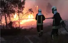158 حريقا في strongالأردنstrong خلال 24