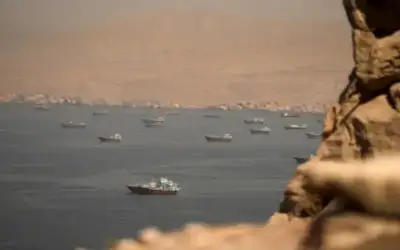 الاتحاد الجزائري ينفي تقدمه بشكوى بشأن