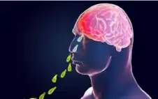 وفاة جديدة بسبب الأميبا آكلة الدماغ