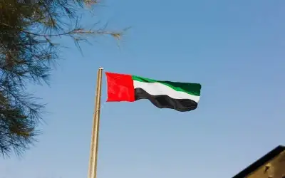 القضاة: 22 ألف قضية مخدرات ضبطت