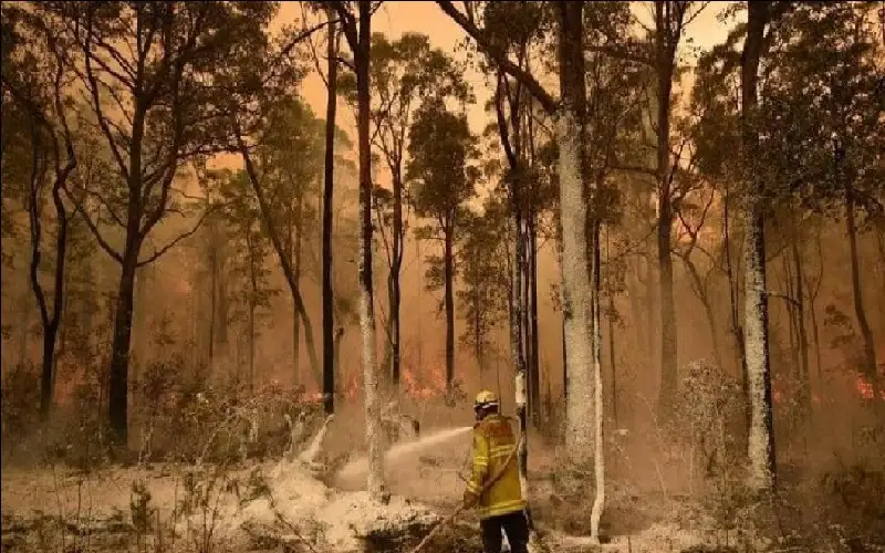 حرارة الصيف تحصد حياة أكثر من