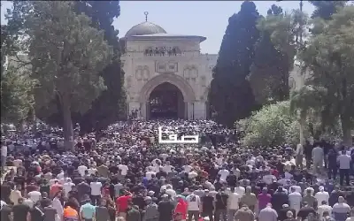 النني ينافس على جائزة لاعب الشهر