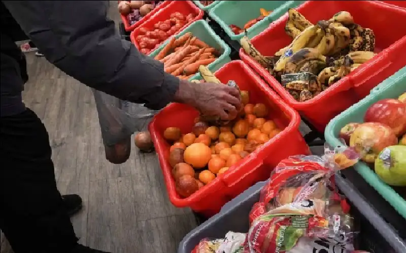 الفاو: أسعار الغذاء العالمية بلغت أعلى