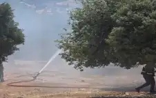 حريق يلتهم عشرات الدونمات من الأشجار
