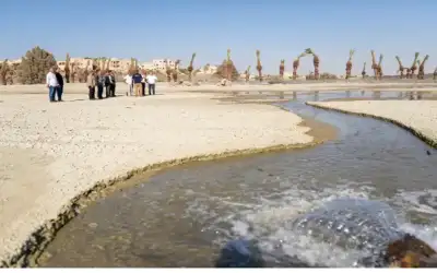 مصدر حكومي: الأردن أكبر من الرد