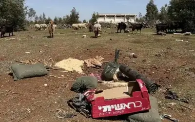 سوريا .. إيقاف خلية ثانية مرتبطة