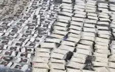 النائب اstrongلبstrongشير: تغليظ العقوبات يجب أن
