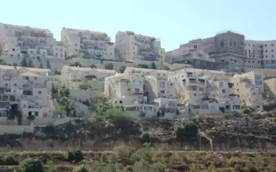 صحيفة نيسان ـ تفاصيل القرار البريطاني المرتقب بحظر التجارة