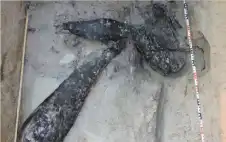 منوعات ـ دولة أفريقية تخفي سرا عمره 476
