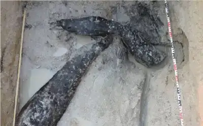 منوعات ـ دولة أفريقية تخفي سرا عمره 476