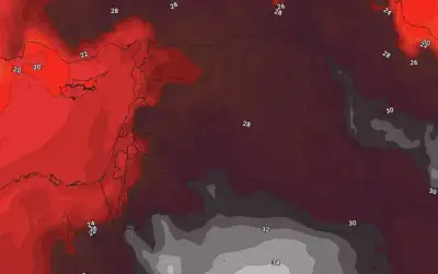 الملك يؤكد عمق العلاقات الأخوية بين