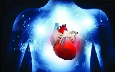 الجيش يحبط 4 محاولات تهريب مخدرات
