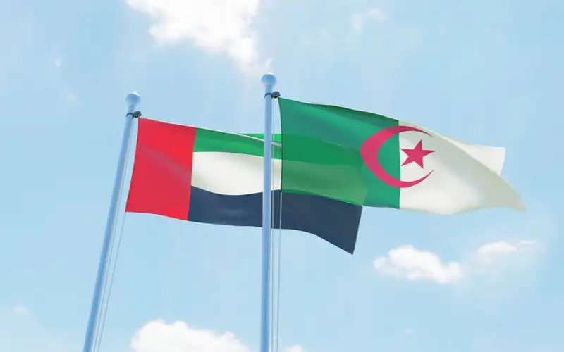 الجزائر تقرر قطع علاقاتها الدبلوماسية مع