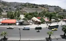 أمانة strongعمانstrong تباشر إزالة عوائق الأشجار