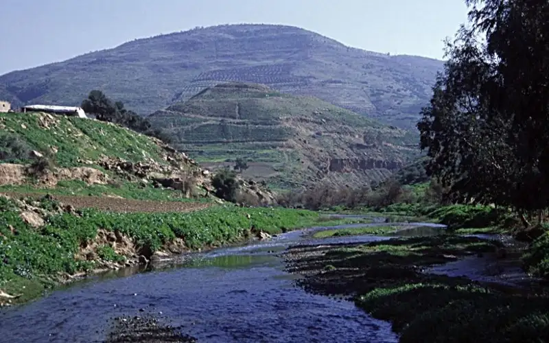 باحث: وادي الزرقاء نموذج مهم للثروة