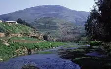 باحث: وادي الزرقاء نموذج مهم للثروة