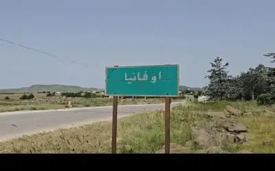 عضو بمجلس القيادة اليمني: قواتنا تعيد